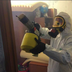 Уничтожение клопов в квартире. Талдом